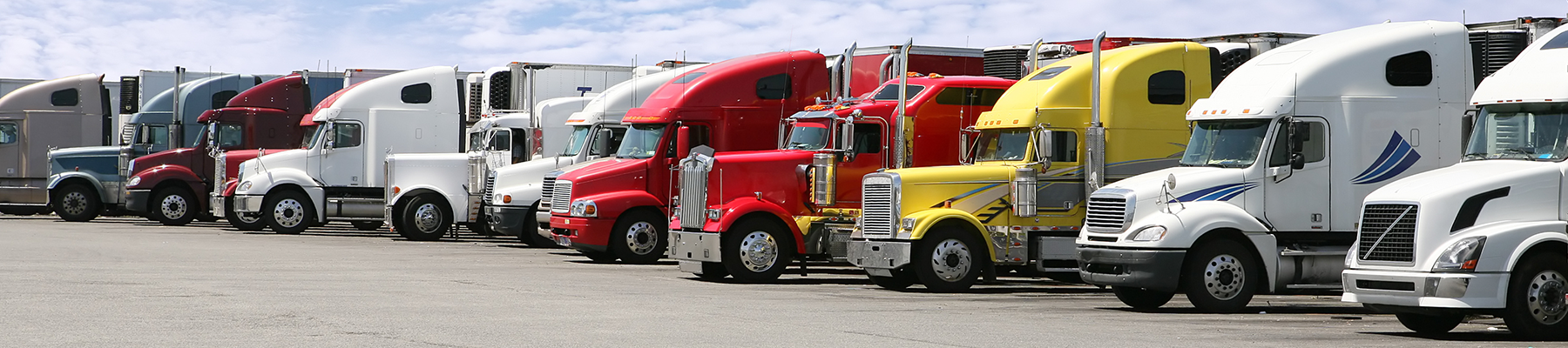 Long line of twelve semi trucks.