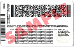 Back of Driver License