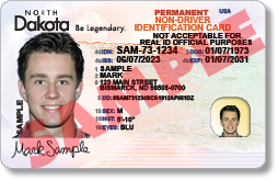 Example of a Permanent Non-Driver Identification Card