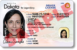 Regular Drivers License