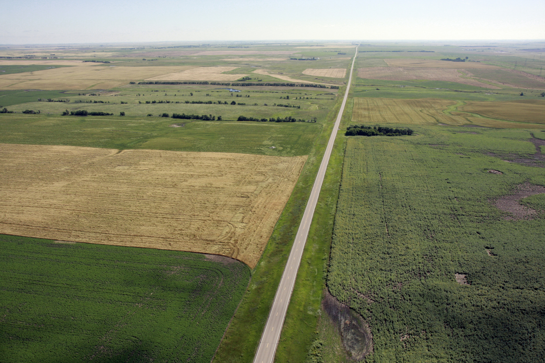 Road through farm land