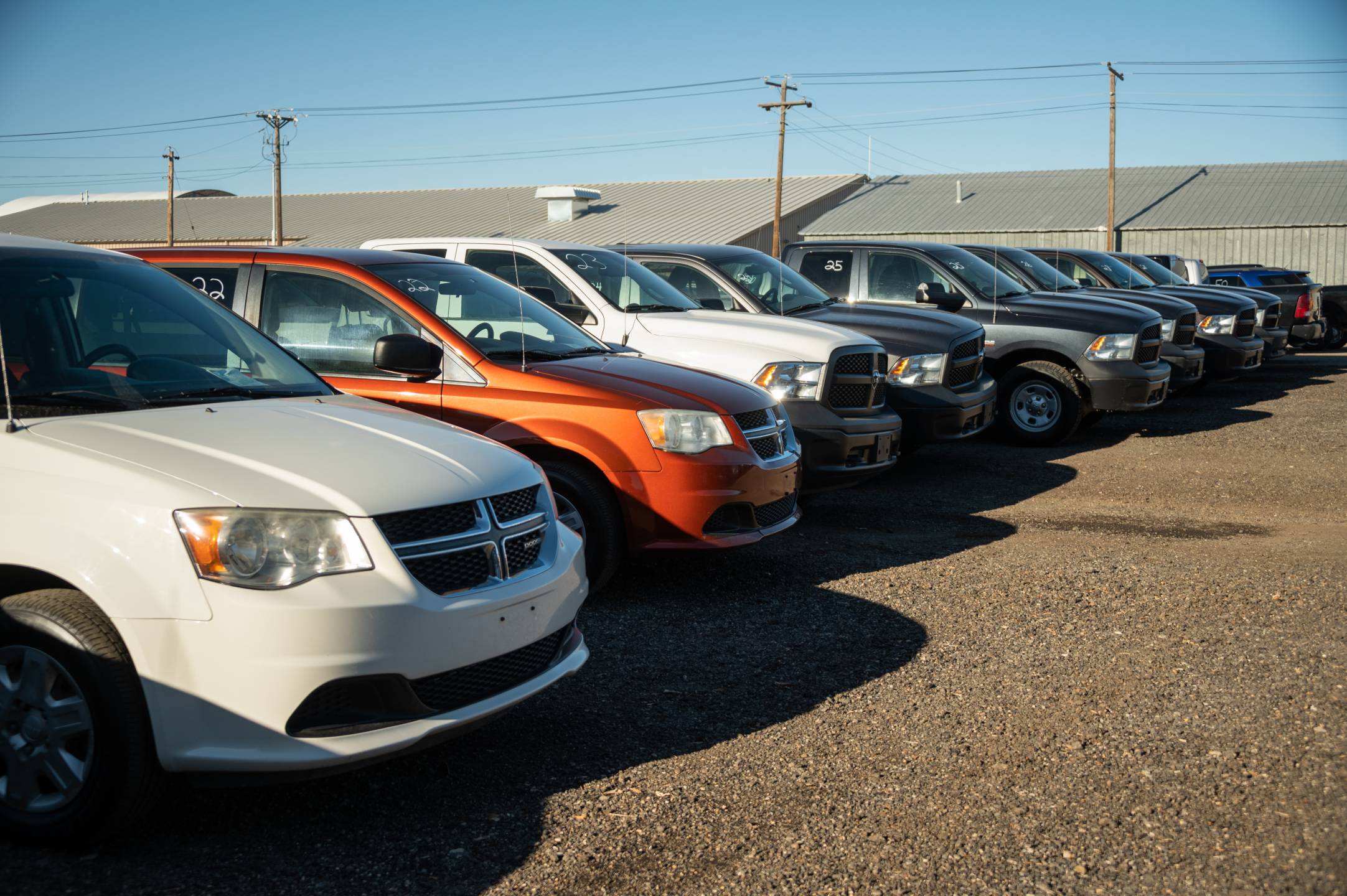 State Fleet vehicles lined up for auction