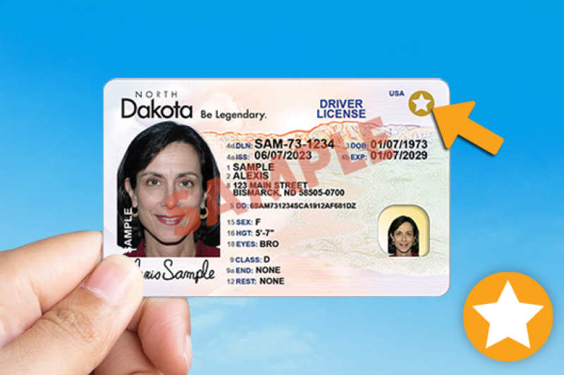 Hand holding a license with REAL ID.